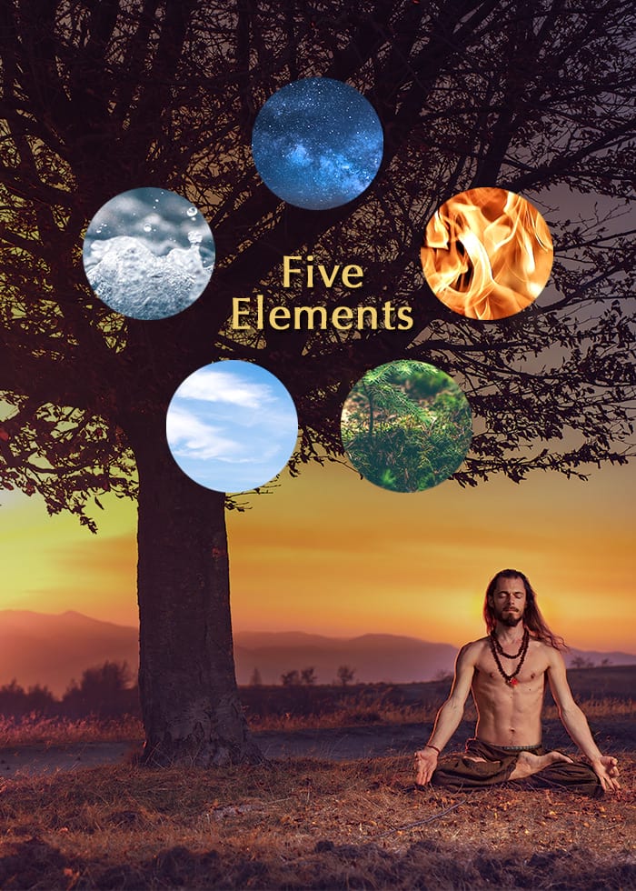 Five element course