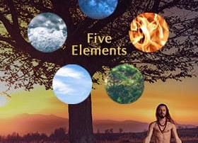 Five element course thumbnail