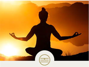 The Five Elements course page