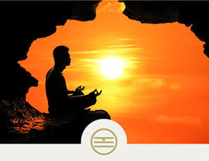 The Five Elements course page
