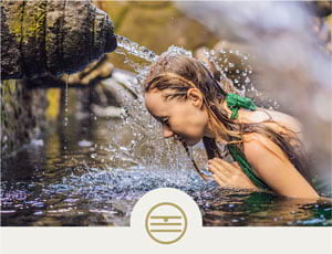The Five Elements course page