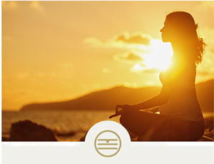 The Five Elements course page