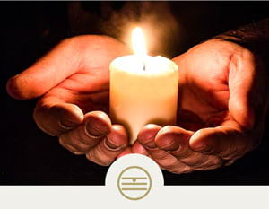 The Five Elements course page