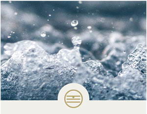 The Five Elements course page