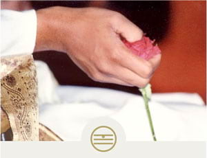 The Five Elements course page
