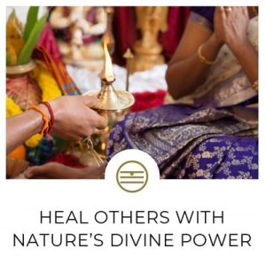 five elements course and healing